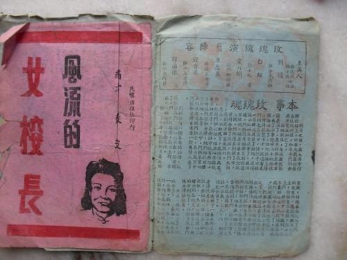 怀雅逊大学Diploma in Finance
